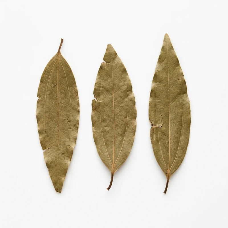 Bay Leaves (TEJ PATTA)