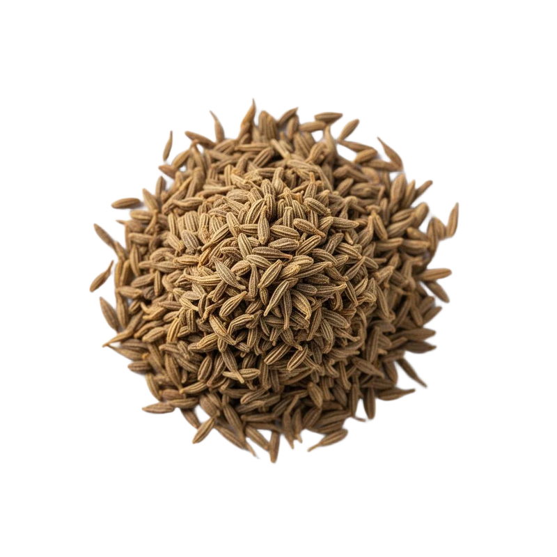 Cumin Seeds (JEERA)